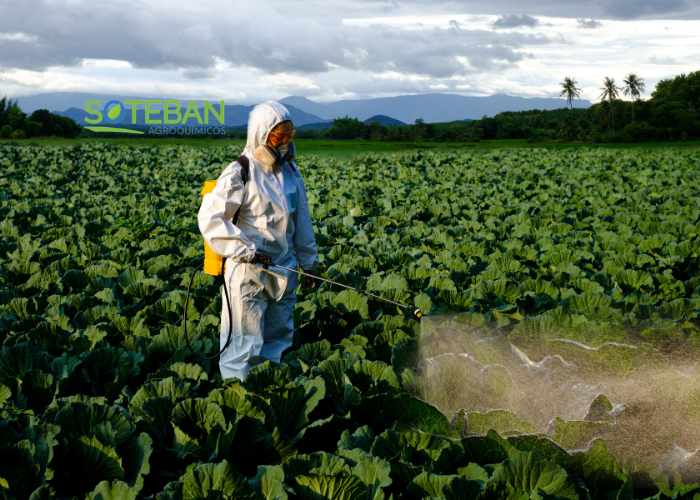 insecticidas en cordoba